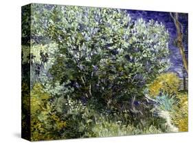 Van Gogh: Lilacs, 19Th C-Vincent van Gogh-Stretched Canvas