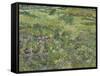 Van Gogh, Long Grass with Butterflies-null-Framed Stretched Canvas