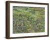 Van Gogh, Long Grass with Butterflies-null-Framed Giclee Print