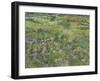 Van Gogh, Long Grass with Butterflies-null-Framed Giclee Print