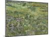 Van Gogh, Long Grass with Butterflies-null-Mounted Giclee Print