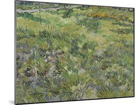 Van Gogh, Long Grass with Butterflies-null-Mounted Giclee Print