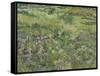 Van Gogh, Long Grass with Butterflies-null-Framed Stretched Canvas