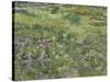 Van Gogh, Long Grass with Butterflies-null-Stretched Canvas