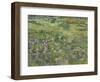 Van Gogh, Long Grass with Butterflies-null-Framed Premium Giclee Print