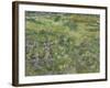 Van Gogh, Long Grass with Butterflies-null-Framed Giclee Print