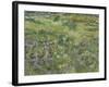 Van Gogh, Long Grass with Butterflies-null-Framed Giclee Print