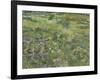 Van Gogh, Long Grass with Butterflies-null-Framed Giclee Print