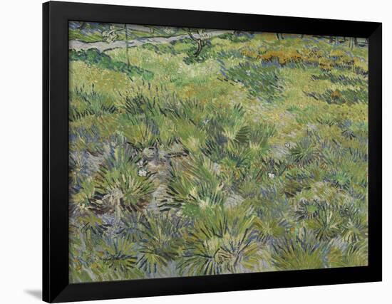 Van Gogh, Long Grass with Butterflies-null-Framed Giclee Print