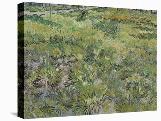 Van Gogh, Long Grass with Butterflies-null-Stretched Canvas