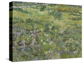 Van Gogh, Long Grass with Butterflies-null-Stretched Canvas