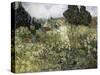 Van Gogh, Marguerite Gachet in the Garden-null-Stretched Canvas