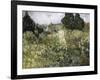 Van Gogh, Marguerite Gachet in the Garden-null-Framed Giclee Print