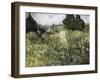 Van Gogh, Marguerite Gachet in the Garden-null-Framed Giclee Print