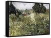 Van Gogh, Marguerite Gachet in the Garden-null-Framed Stretched Canvas