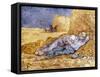 Van Gogh: Noon Nap, 1889-90-Vincent van Gogh-Framed Stretched Canvas