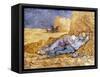 Van Gogh: Noon Nap, 1889-90-Vincent van Gogh-Framed Stretched Canvas