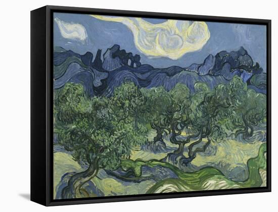 Van Gogh, Olive Trees-null-Framed Stretched Canvas