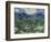 Van Gogh, Olive Trees-null-Framed Giclee Print