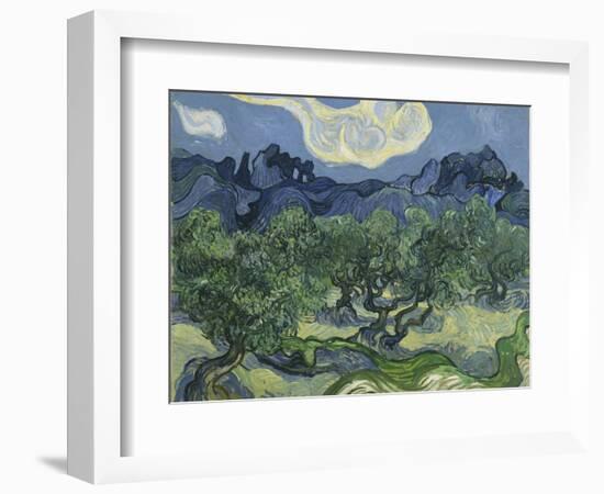 Van Gogh, Olive Trees-null-Framed Giclee Print