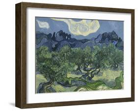 Van Gogh, Olive Trees-null-Framed Giclee Print