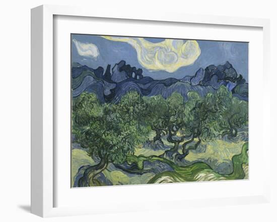 Van Gogh, Olive Trees-null-Framed Giclee Print