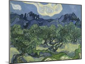 Van Gogh, Olive Trees-null-Mounted Giclee Print