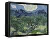 Van Gogh, Olive Trees-null-Framed Stretched Canvas