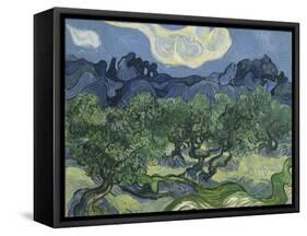 Van Gogh, Olive Trees-null-Framed Stretched Canvas