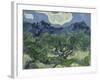 Van Gogh, Olive Trees-null-Framed Premium Giclee Print