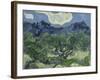 Van Gogh, Olive Trees-null-Framed Premium Giclee Print