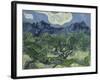 Van Gogh, Olive Trees-null-Framed Premium Giclee Print