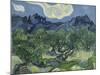Van Gogh, Olive Trees-null-Mounted Premium Giclee Print