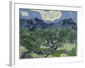 Van Gogh, Olive Trees-null-Framed Giclee Print