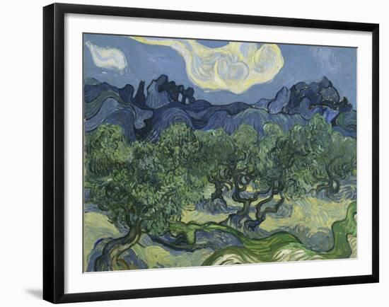 Van Gogh, Olive Trees-null-Framed Giclee Print