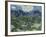 Van Gogh, Olive Trees-null-Framed Giclee Print