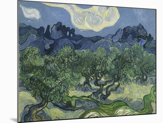 Van Gogh, Olive Trees-null-Mounted Giclee Print