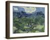 Van Gogh, Olive Trees-null-Framed Premium Giclee Print