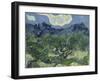 Van Gogh, Olive Trees-null-Framed Premium Giclee Print