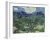 Van Gogh, Olive Trees-null-Framed Premium Giclee Print