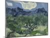 Van Gogh, Olive Trees-null-Mounted Premium Giclee Print