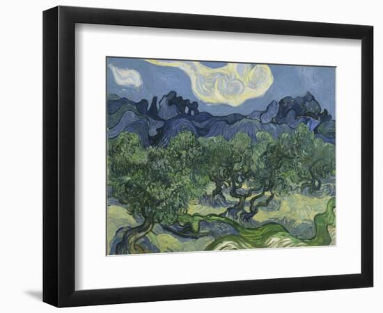 Van Gogh, Olive Trees-null-Framed Premium Giclee Print