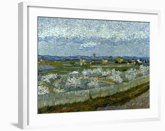 Van Gogh: Peach Tree, 1889-Vincent van Gogh-Framed Giclee Print