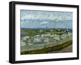 Van Gogh: Peach Tree, 1889-Vincent van Gogh-Framed Giclee Print