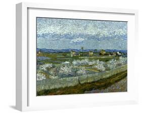 Van Gogh: Peach Tree, 1889-Vincent van Gogh-Framed Giclee Print