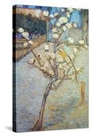 Van Gogh: Peartree, 1888-Vincent van Gogh-Stretched Canvas