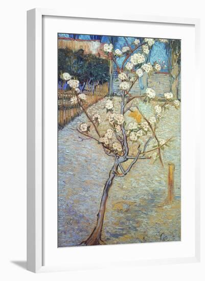 Van Gogh: Peartree, 1888-Vincent van Gogh-Framed Giclee Print