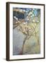 Van Gogh: Peartree, 1888-Vincent van Gogh-Framed Giclee Print