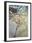 Van Gogh: Peartree, 1888-Vincent van Gogh-Framed Giclee Print