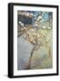 Van Gogh: Peartree, 1888-Vincent van Gogh-Framed Giclee Print